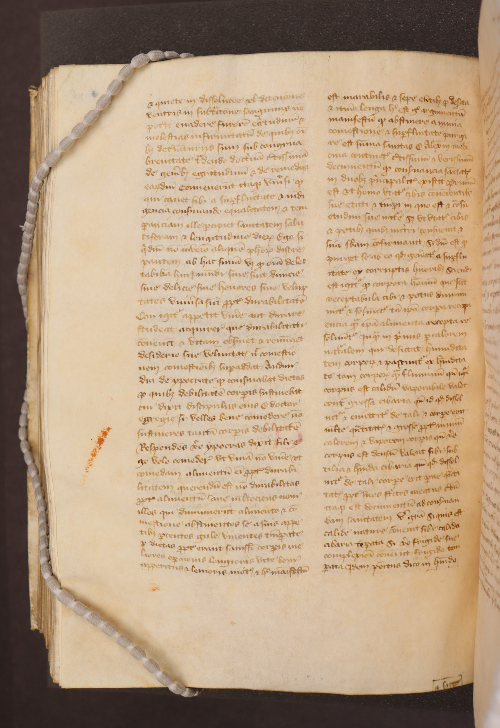 Folio 208  verso