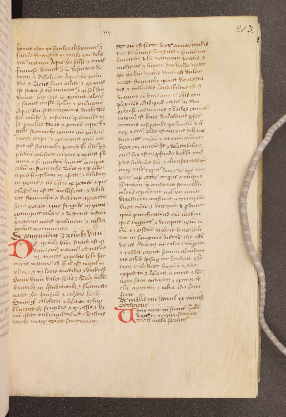 Folio 213  recto