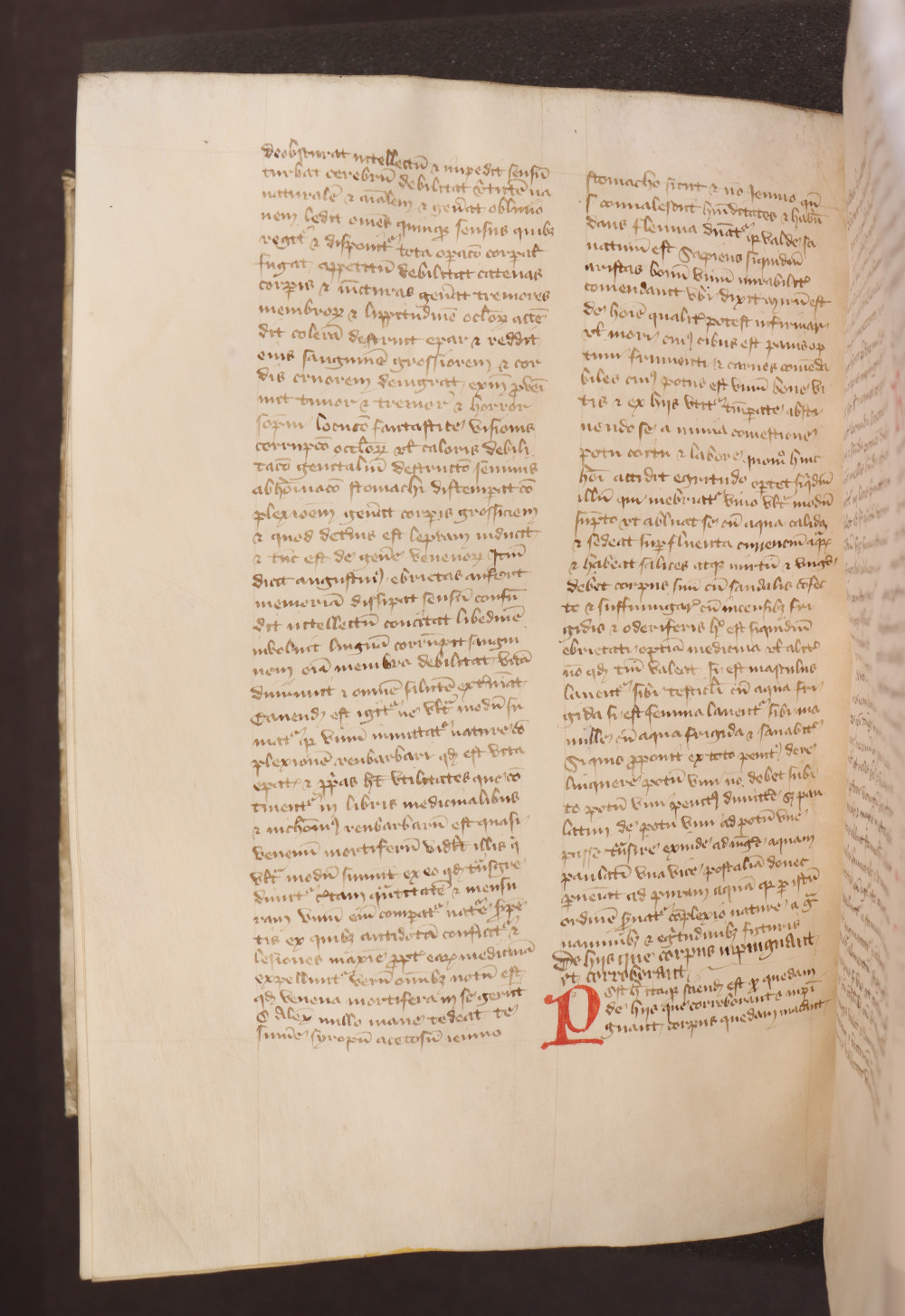 Folio 213  verso