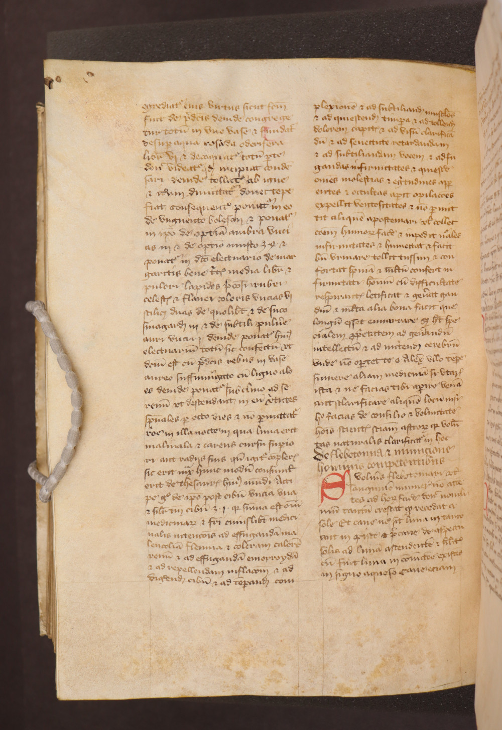 Folio 216  verso
