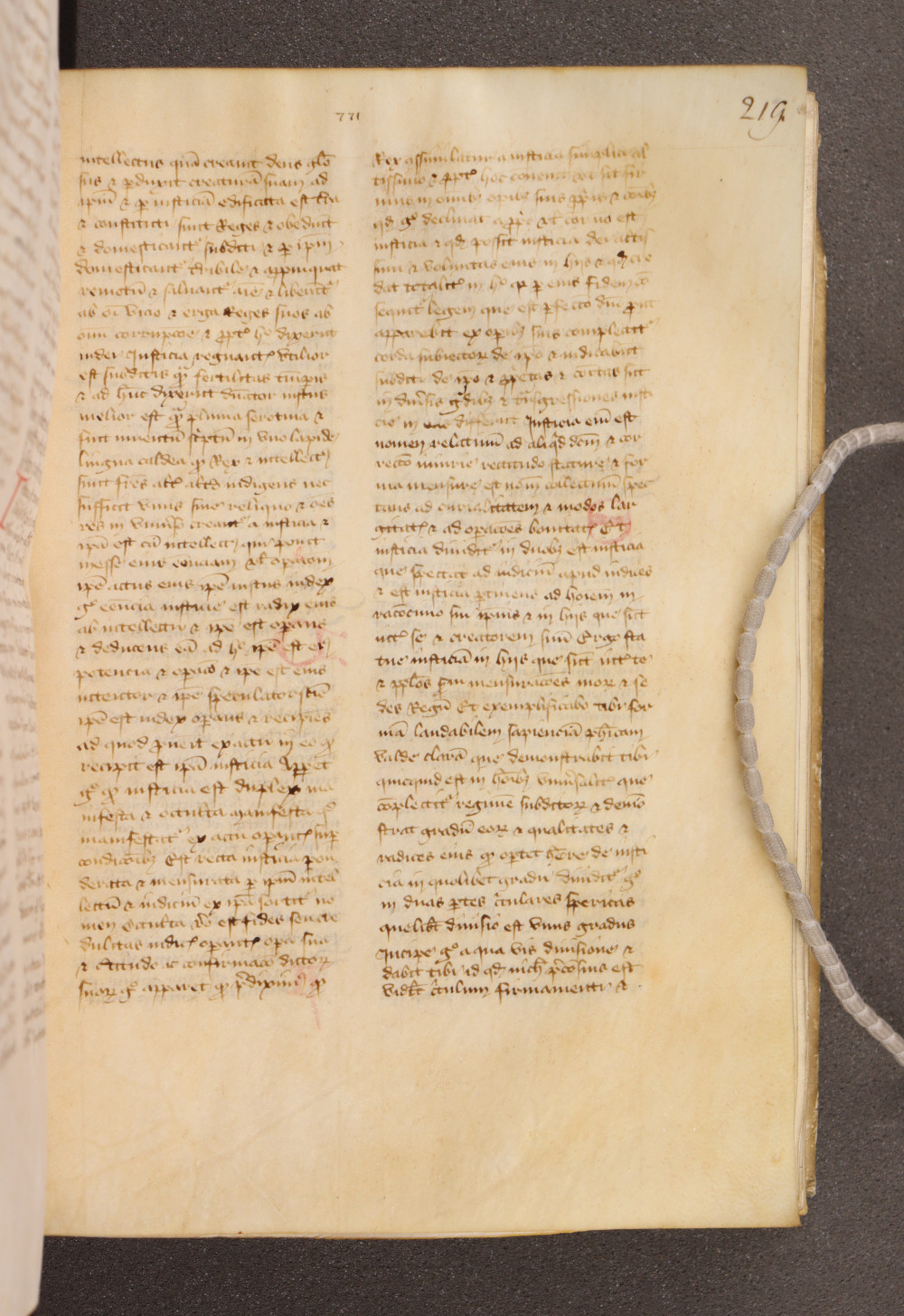 Folio 219  recto