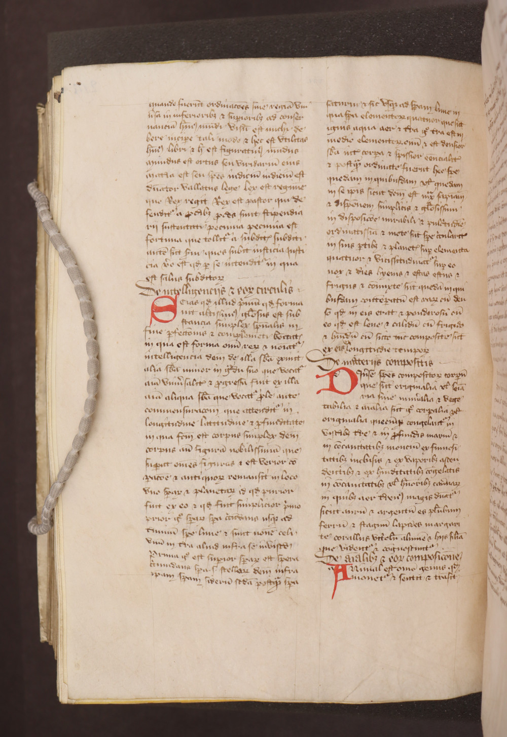 Folio 219  verso