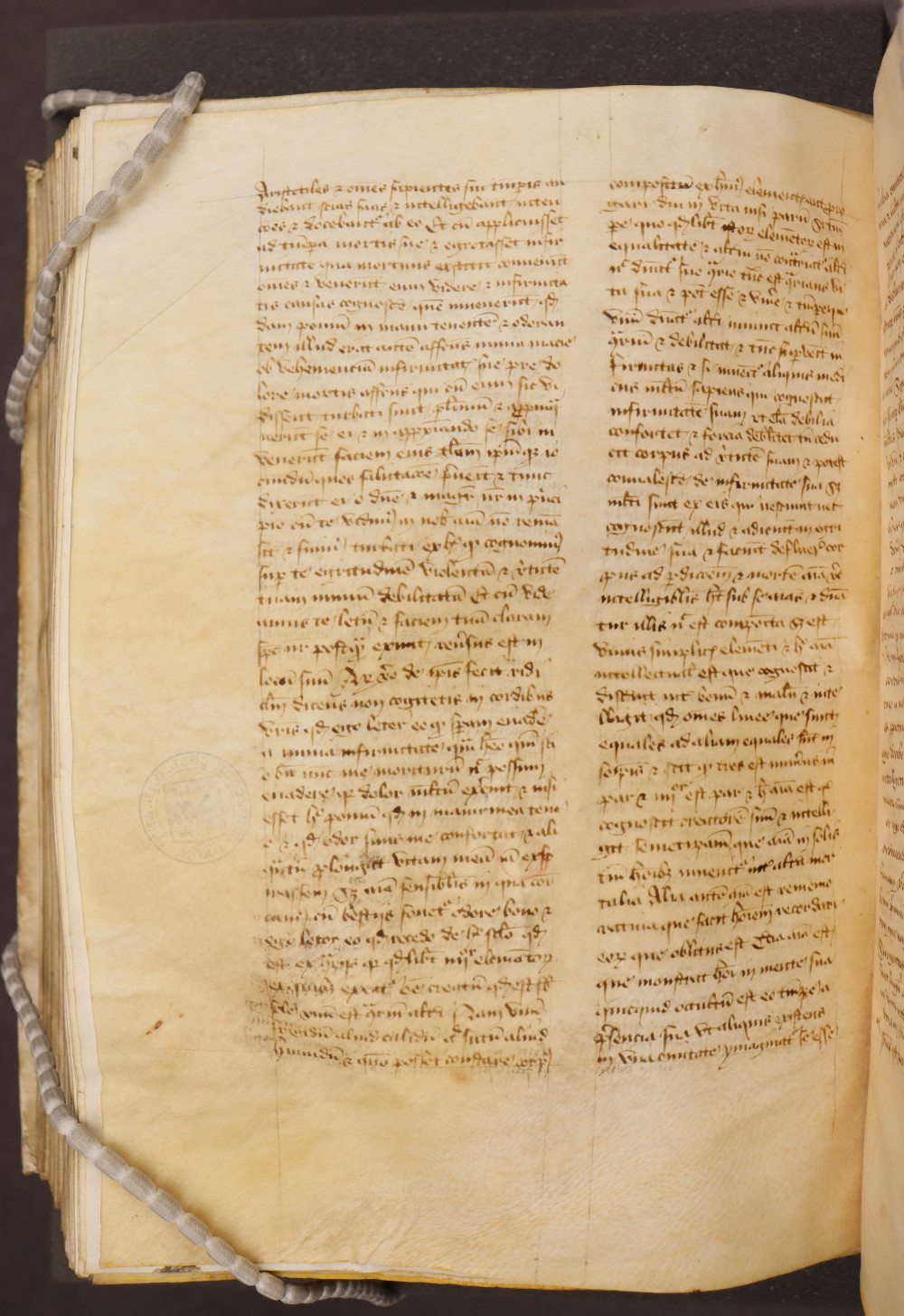 Folio 228  verso