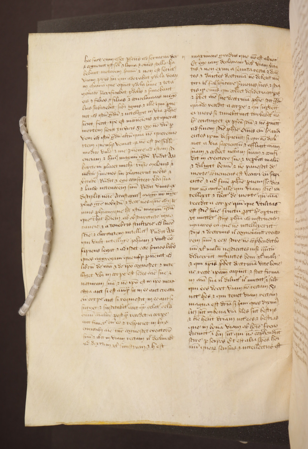 Folio 230  verso