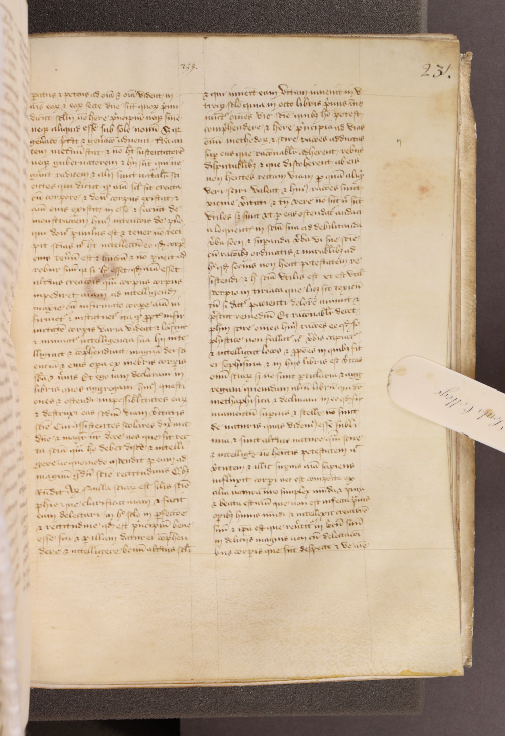 Folio 231  recto