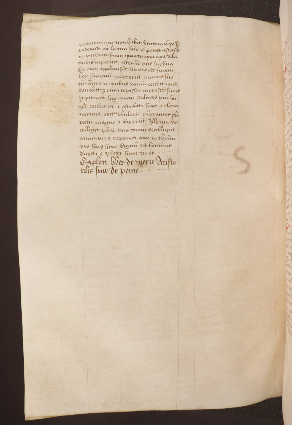 Folio 231  verso