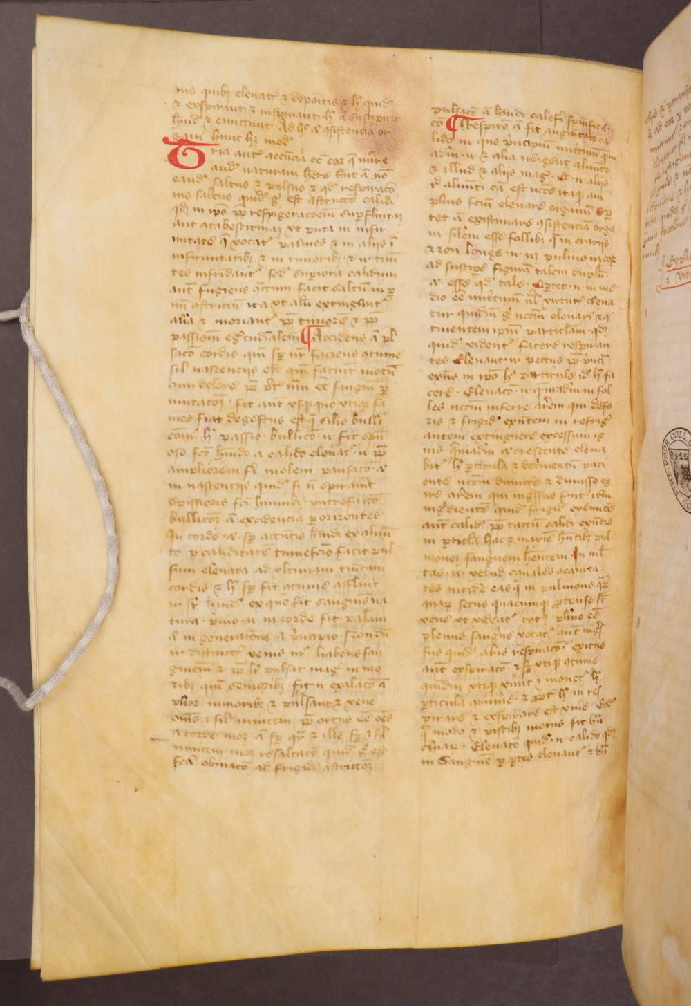 Folio 235  verso
