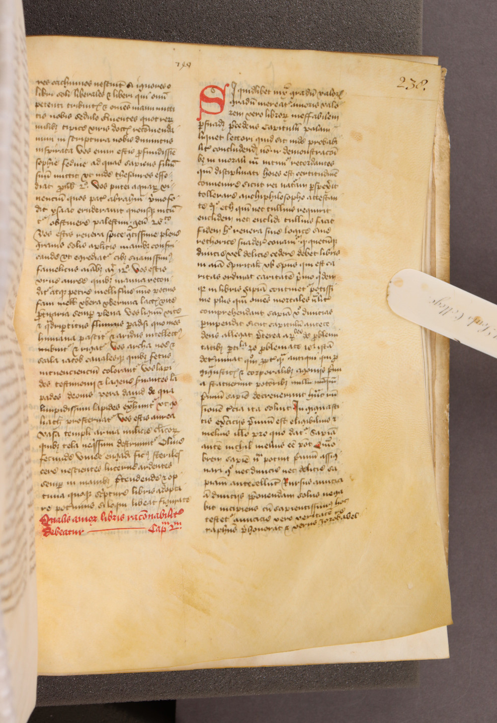 Folio 238  recto