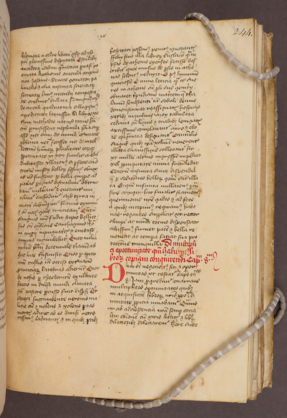 Folio 244  recto
