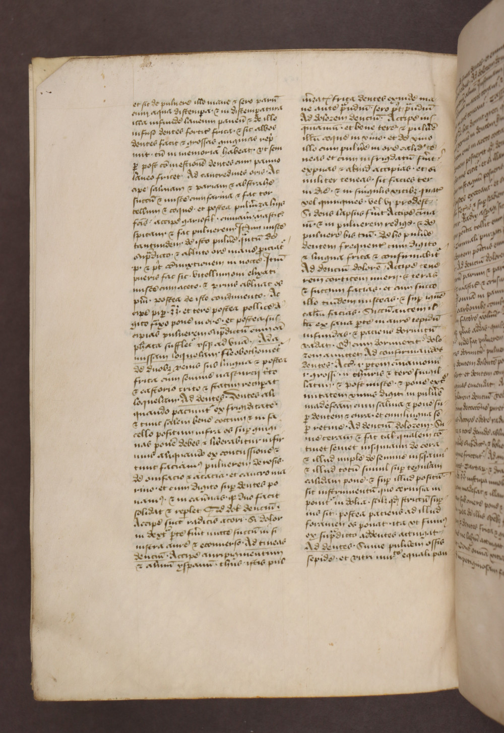 Folio 262  verso