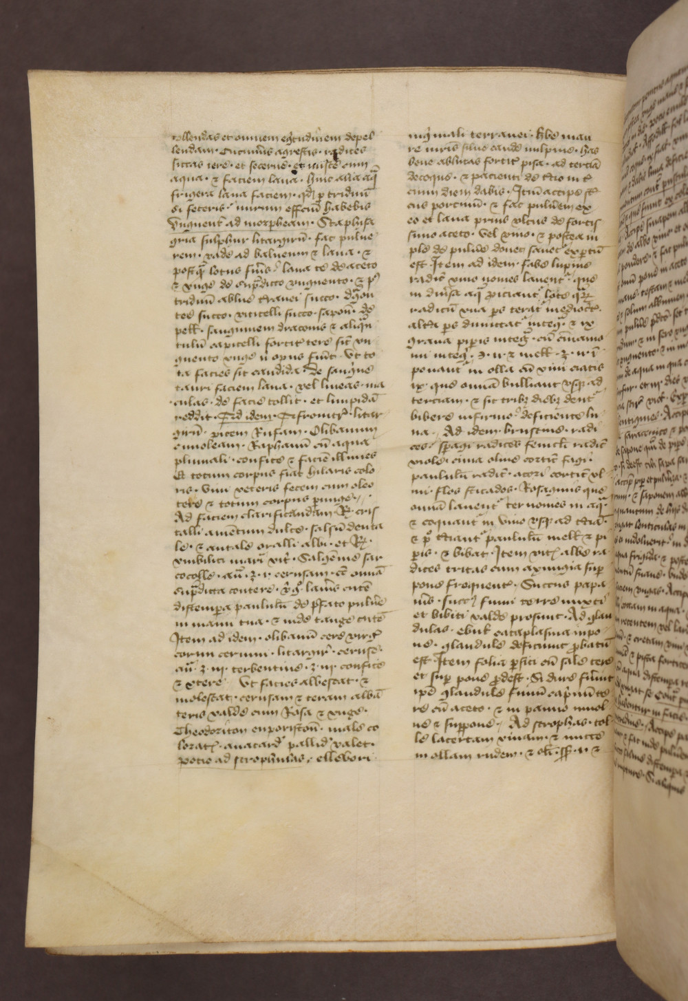 Folio 263  verso