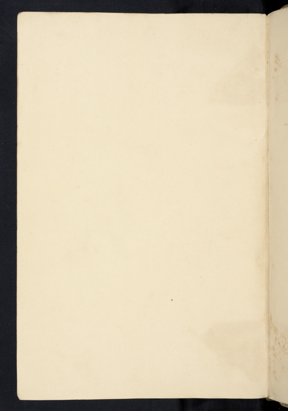 Folio 261 v