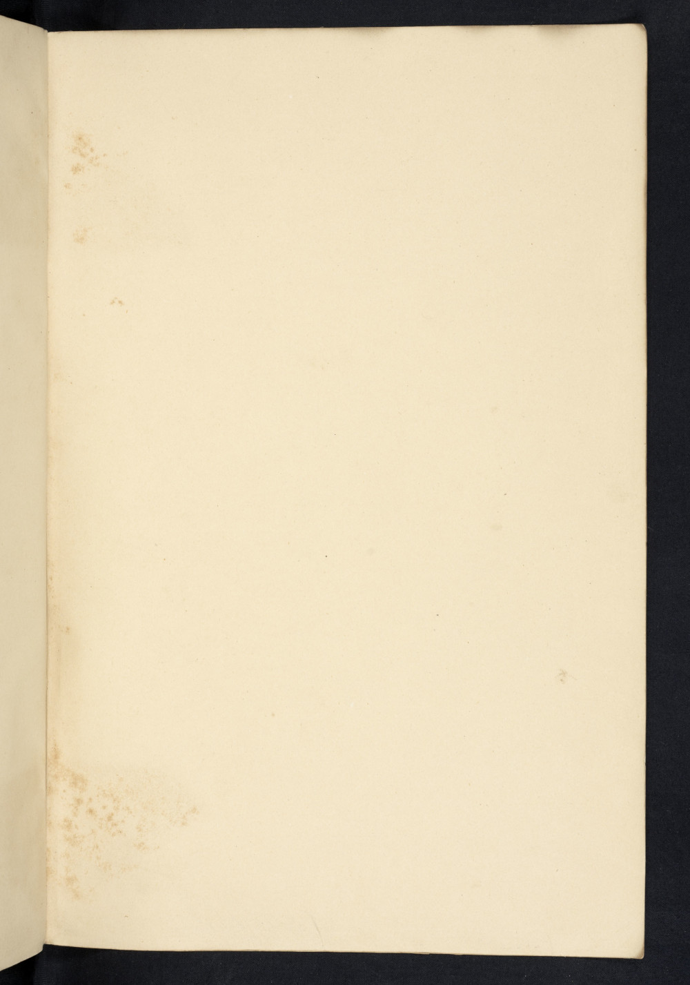 Folio 262 recto