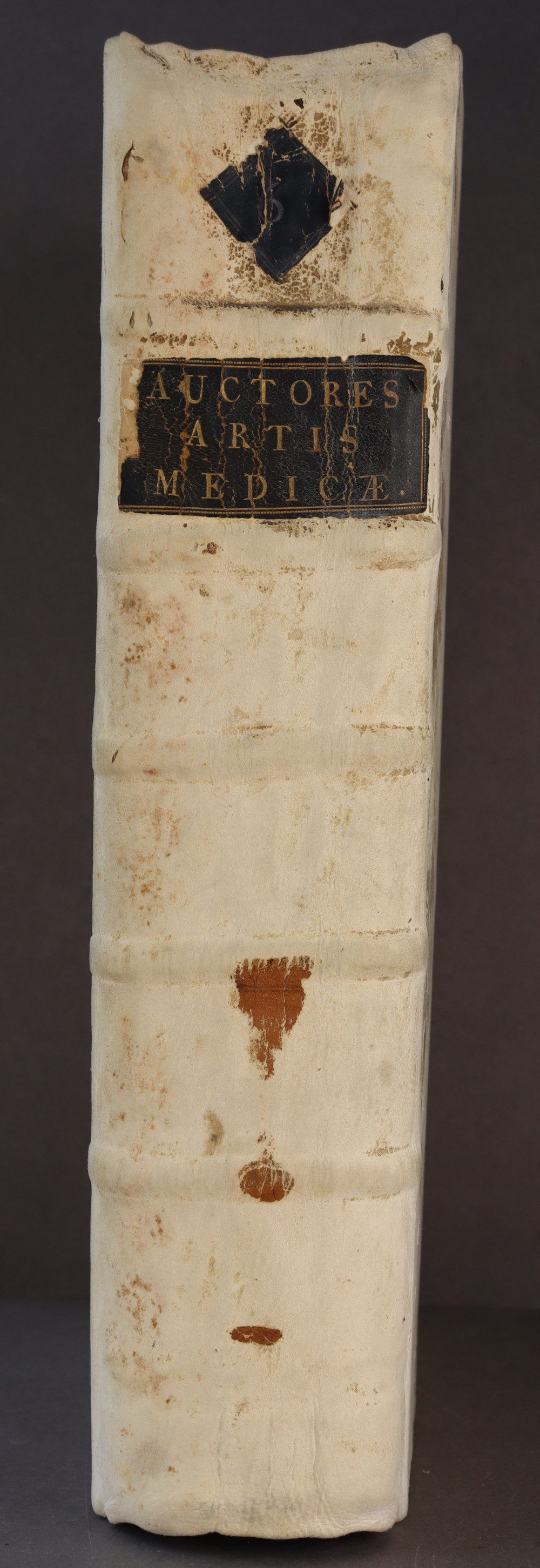 Spine