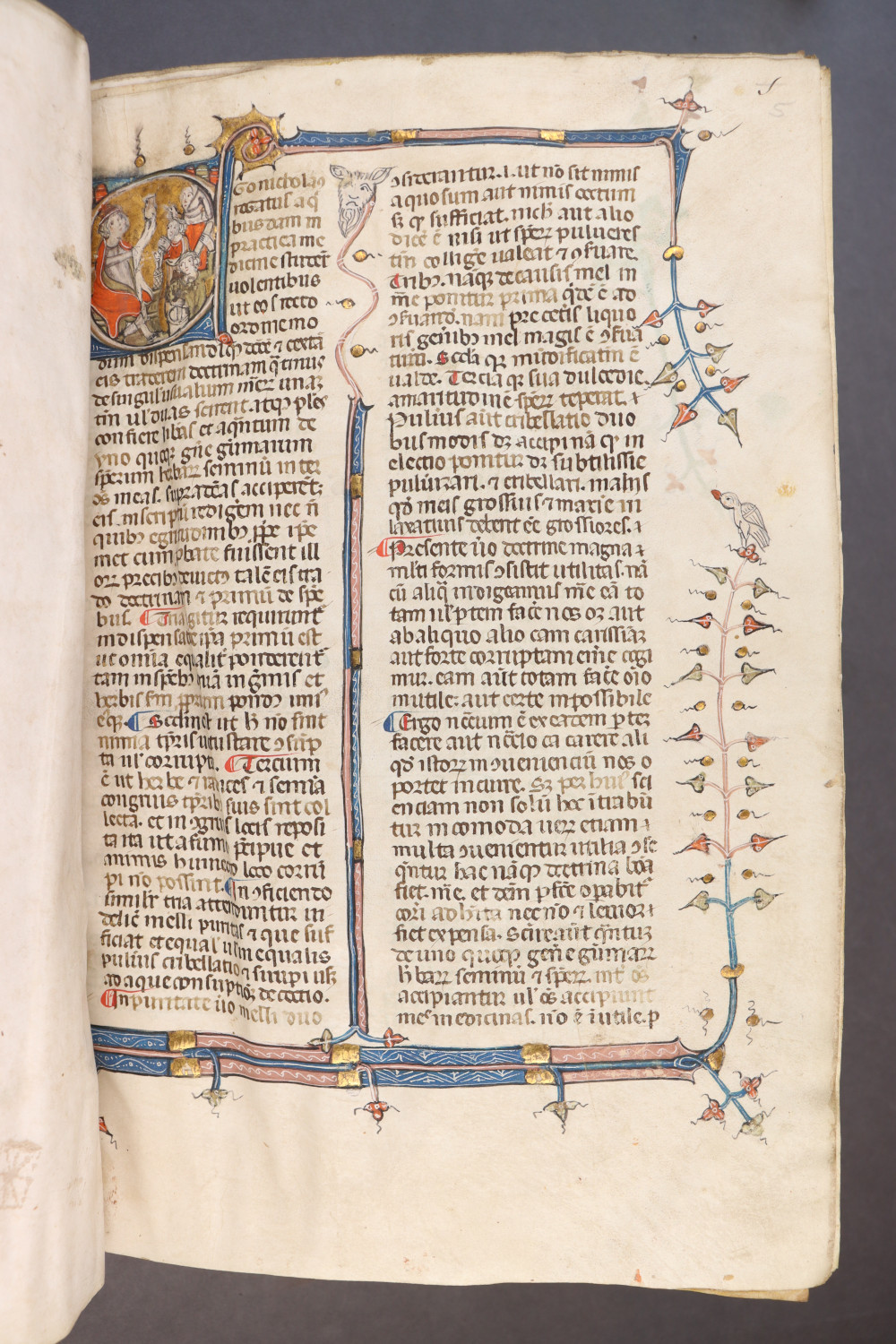 Folio 5 recto