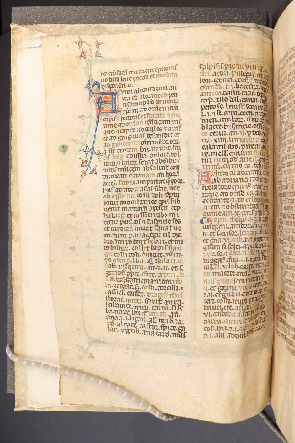 Folio 5 verso