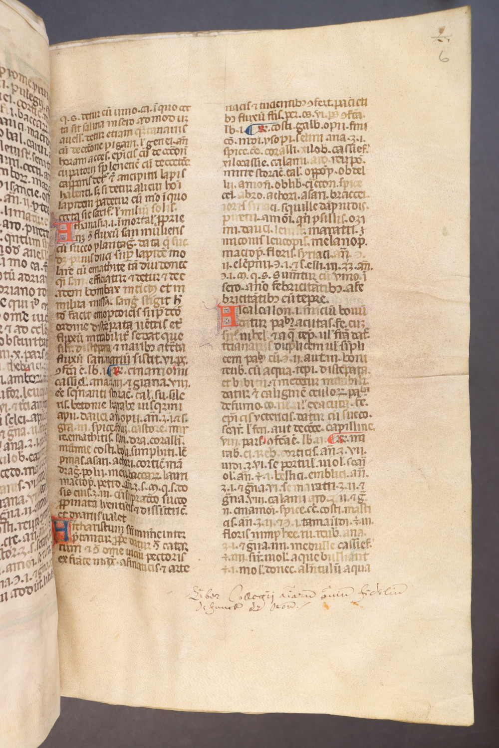 Folio 6 recto
