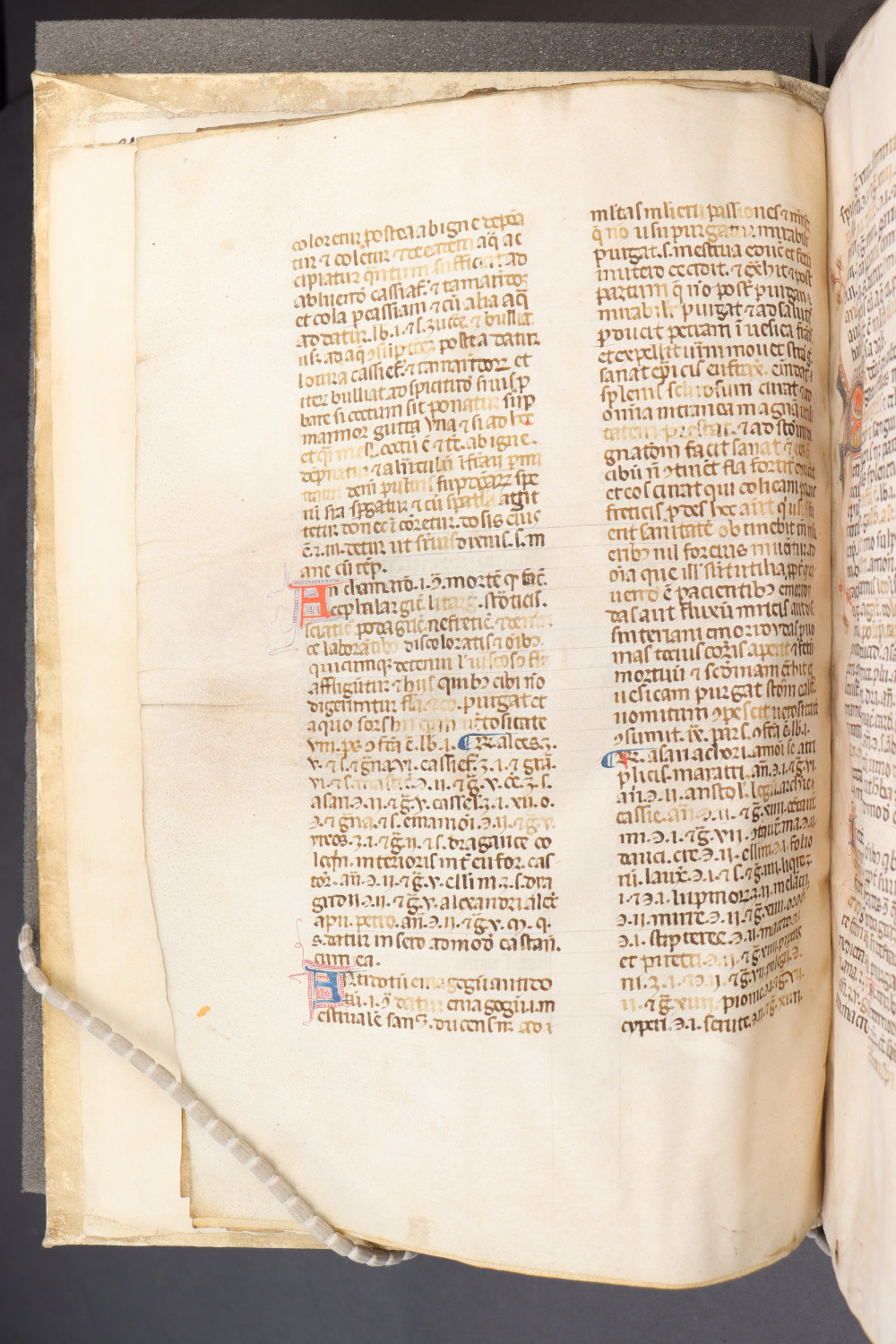 Folio 6 verso