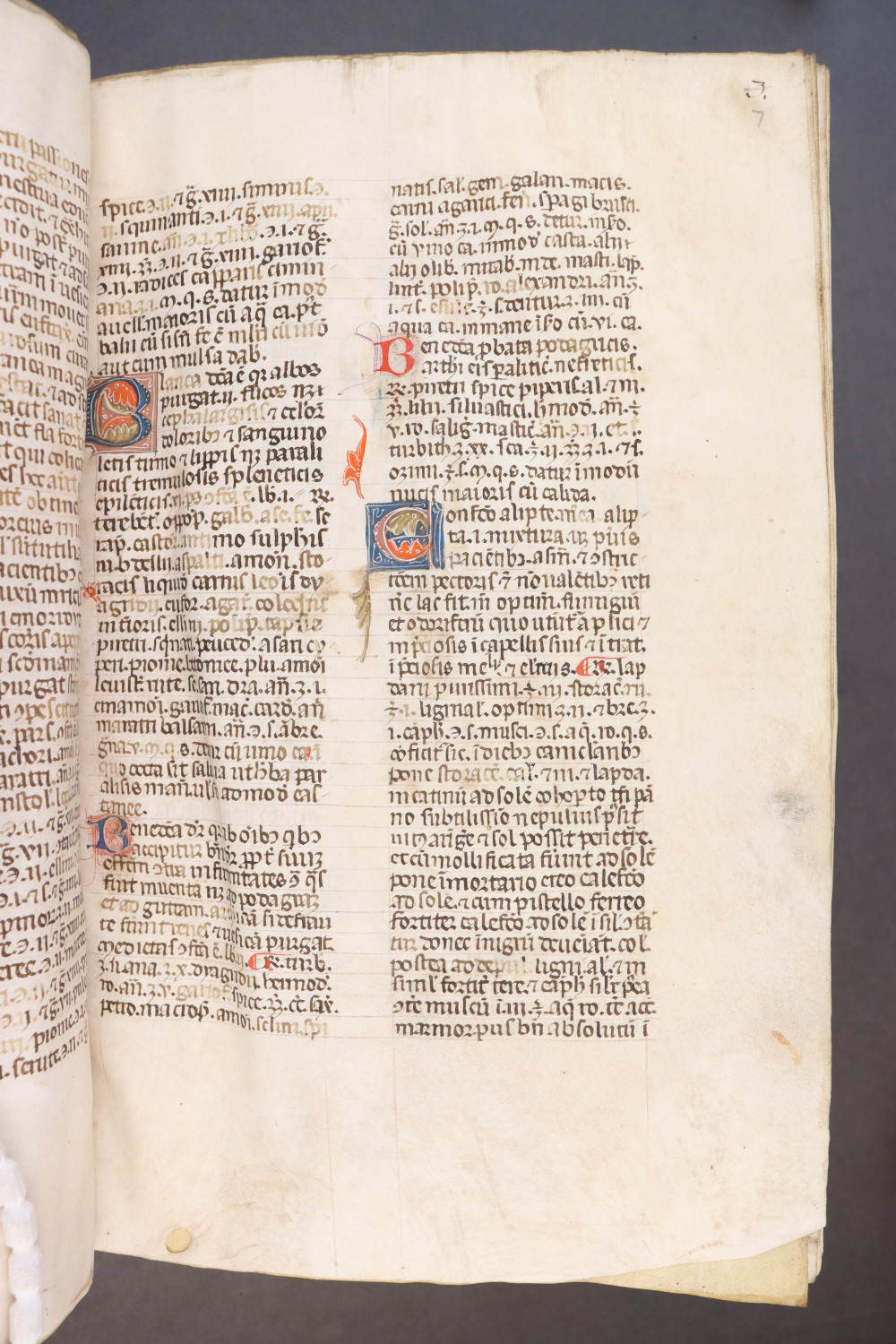 Folio 7 recto