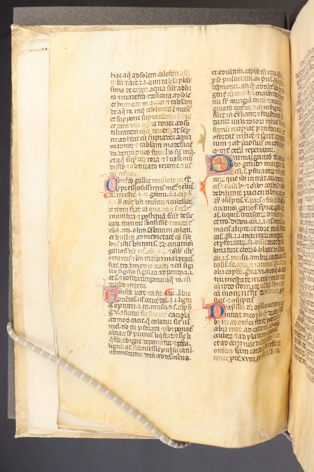 Folio 7 verso