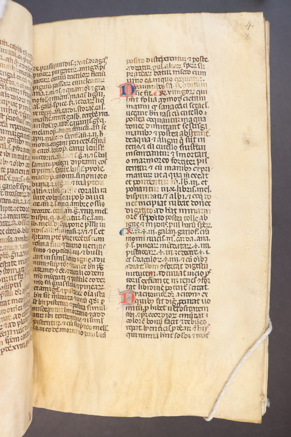 Folio 8 recto