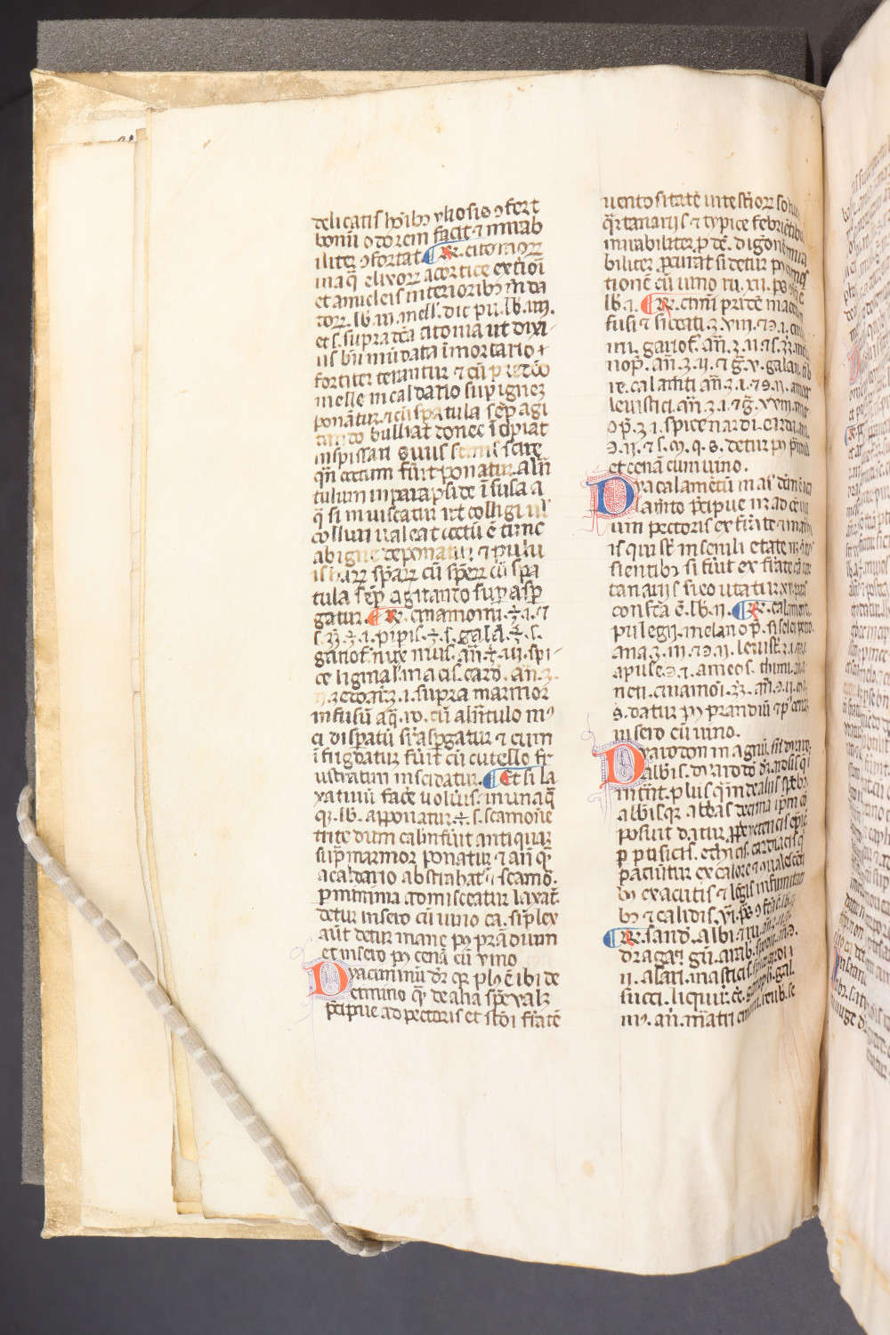 Folio 8 verso