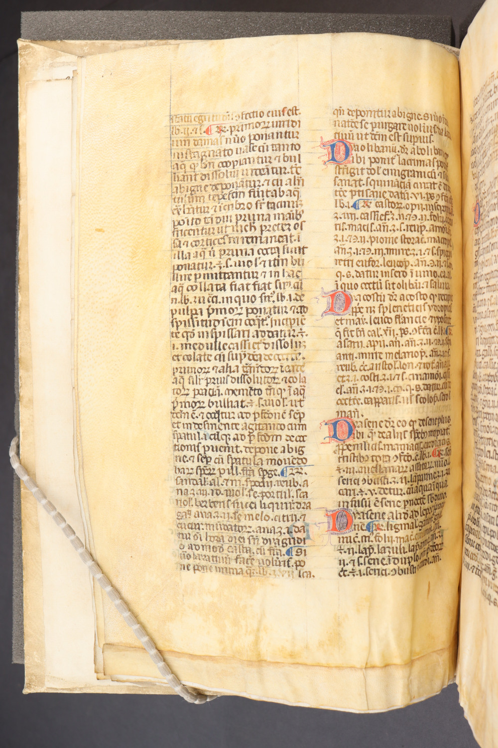 Folio 9 verso