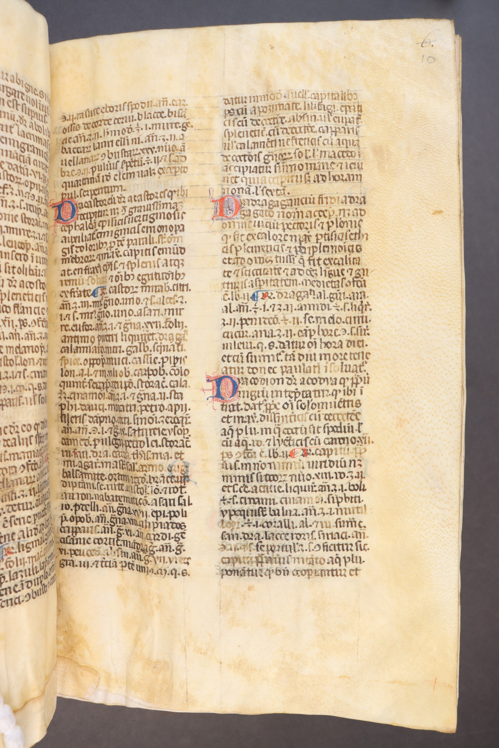 Folio 10 recto