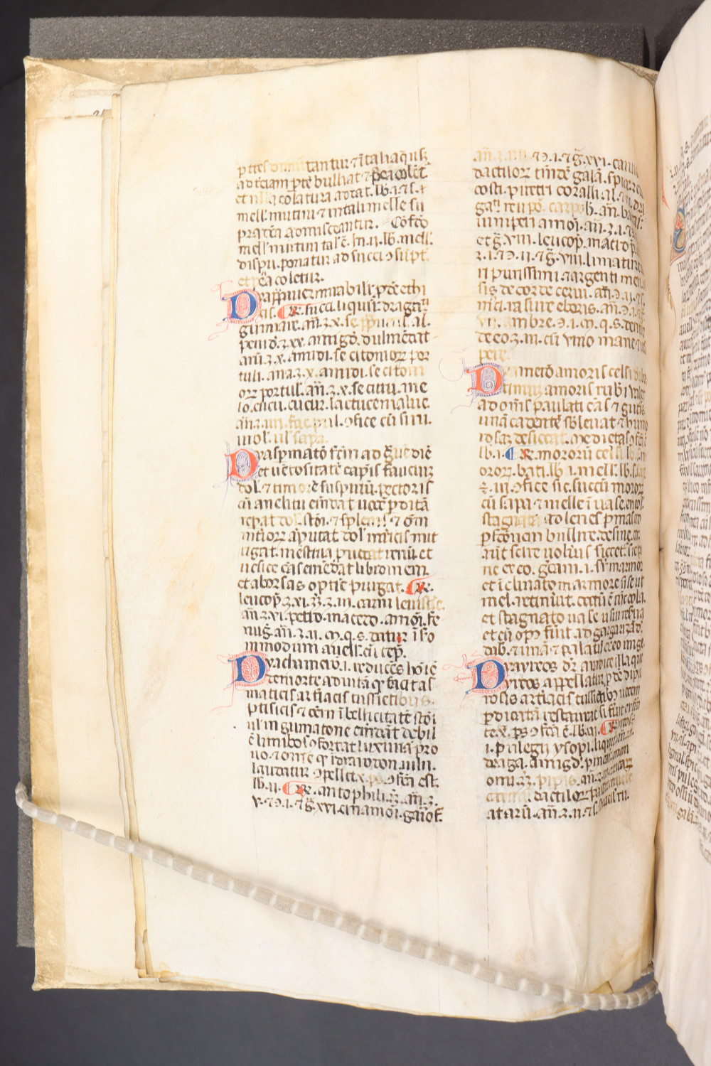 Folio 10 verso