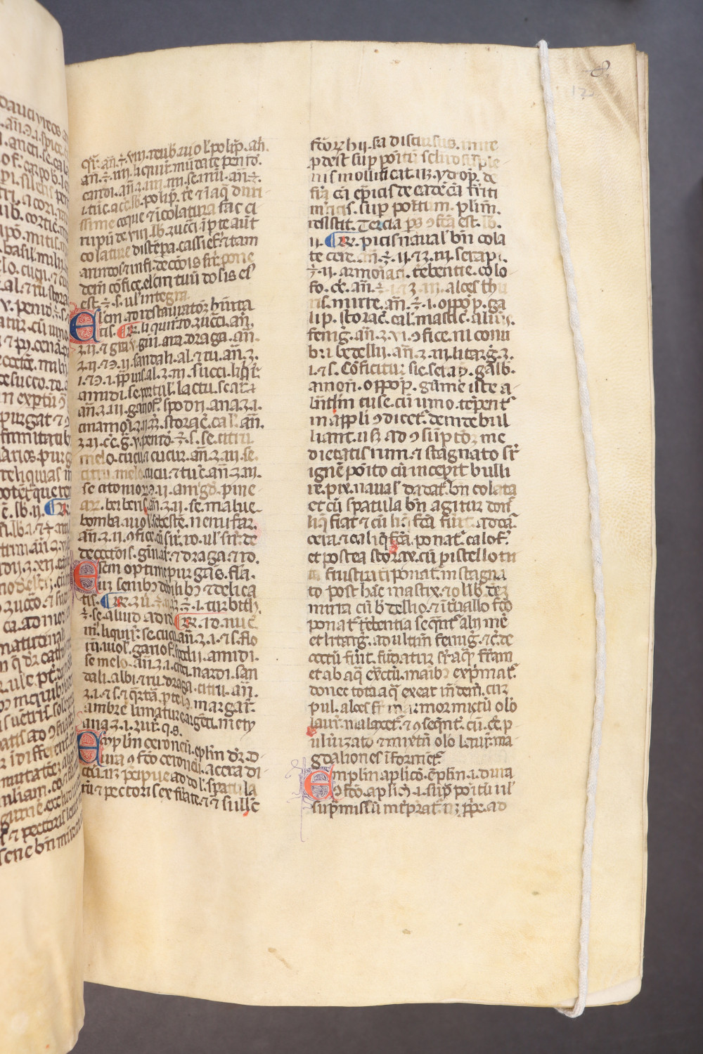 Folio 12 recto