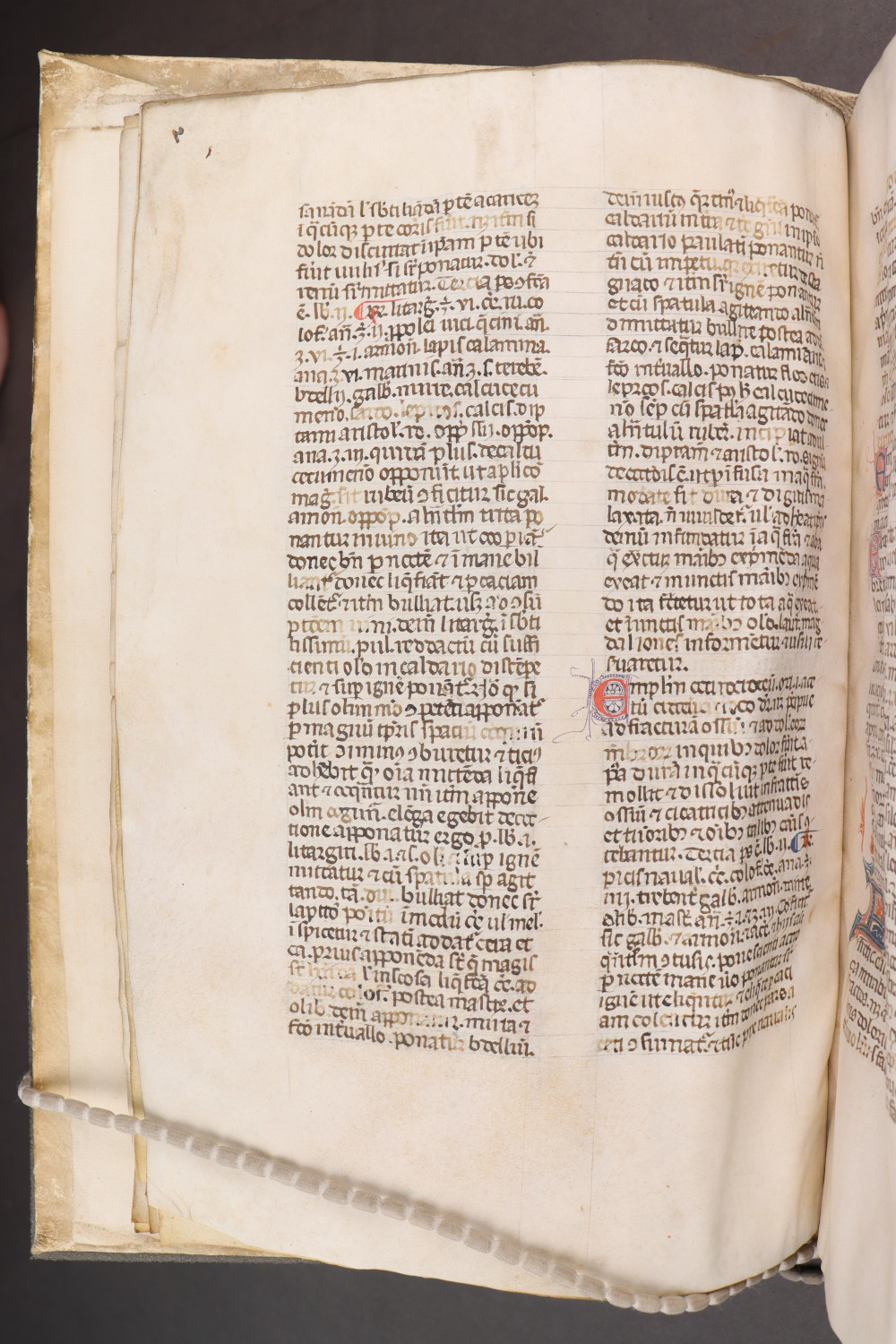 Folio 12 verso