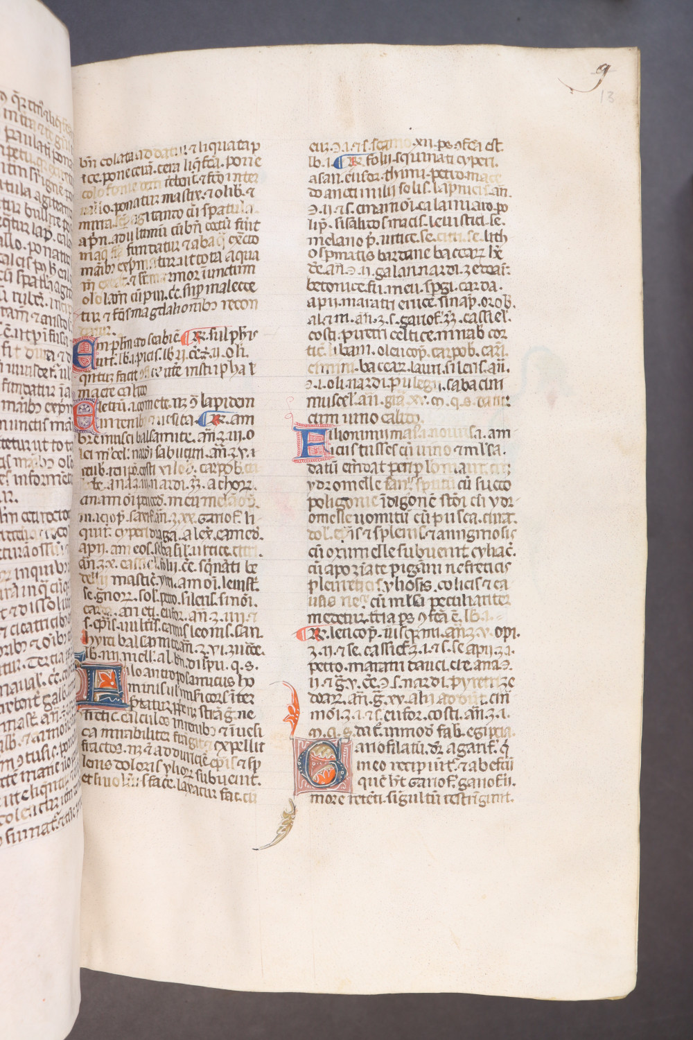 Folio 13 recto