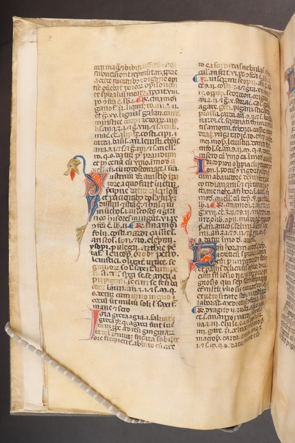 Folio 13 verso