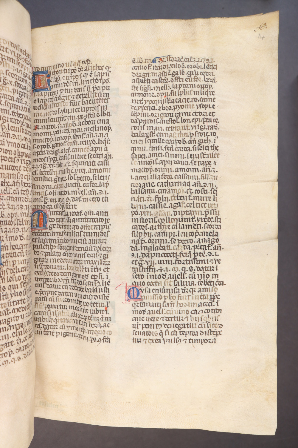Folio 14 recto