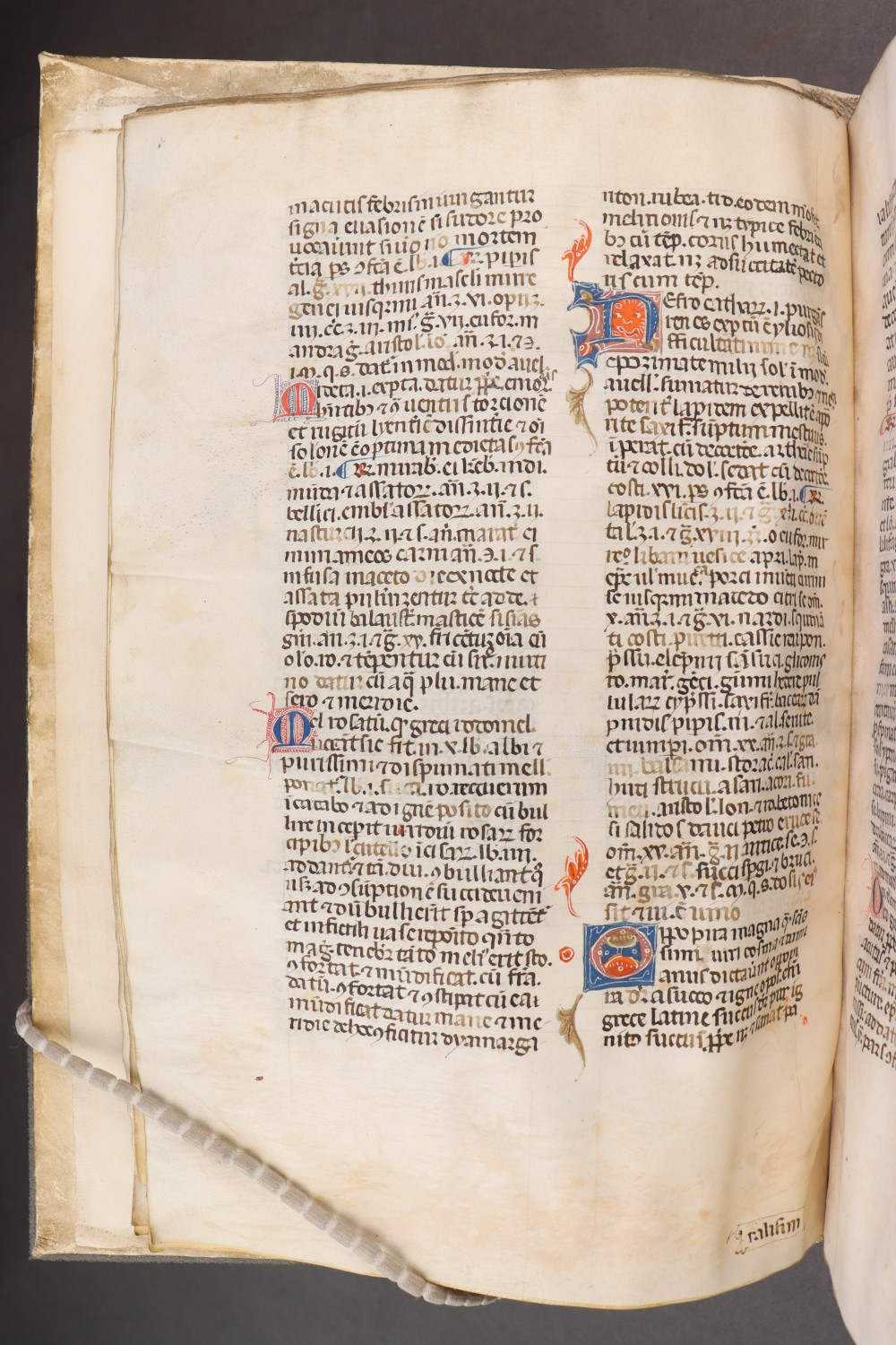 Folio 14 verso