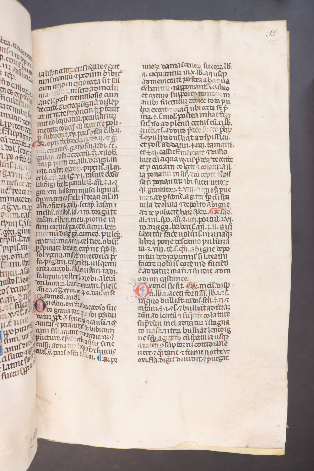 Folio 15 recto