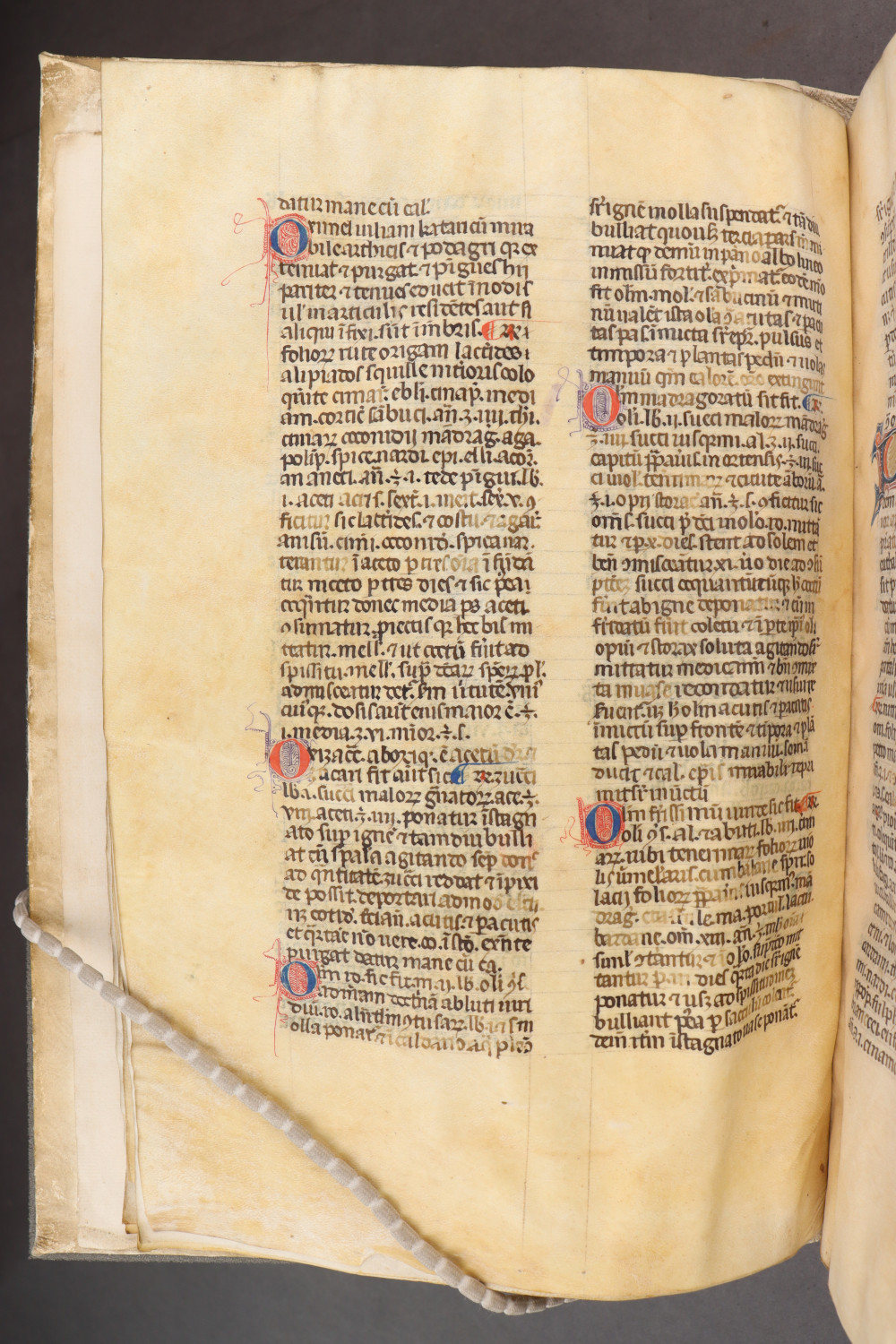 Folio 15 verso