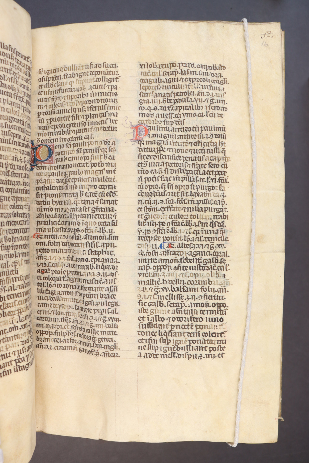 Folio 16 recto