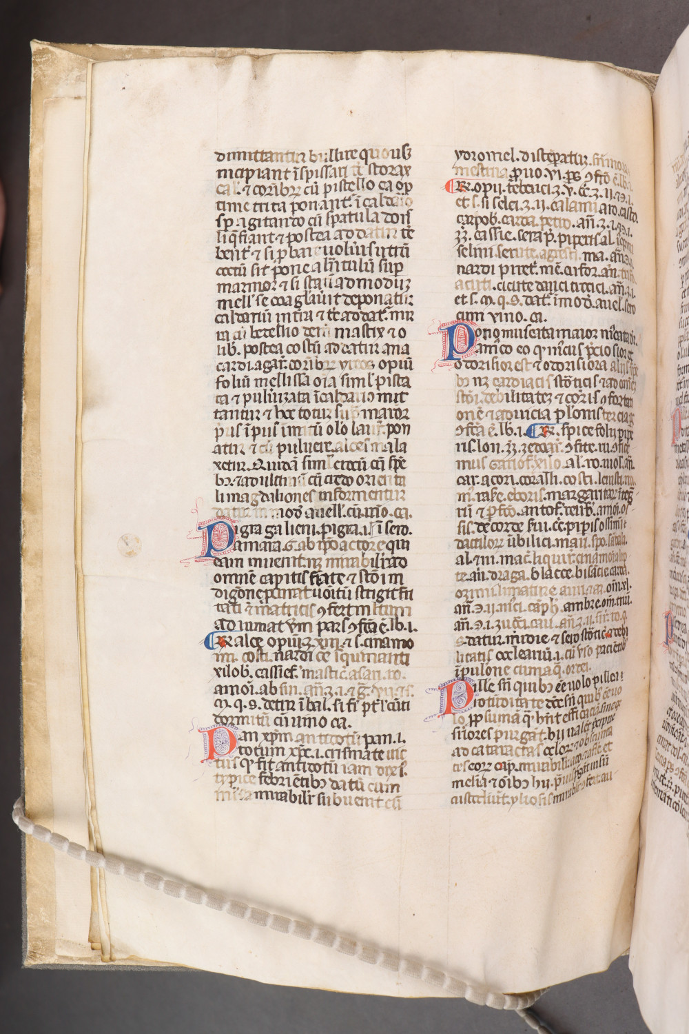 Folio 16 verso