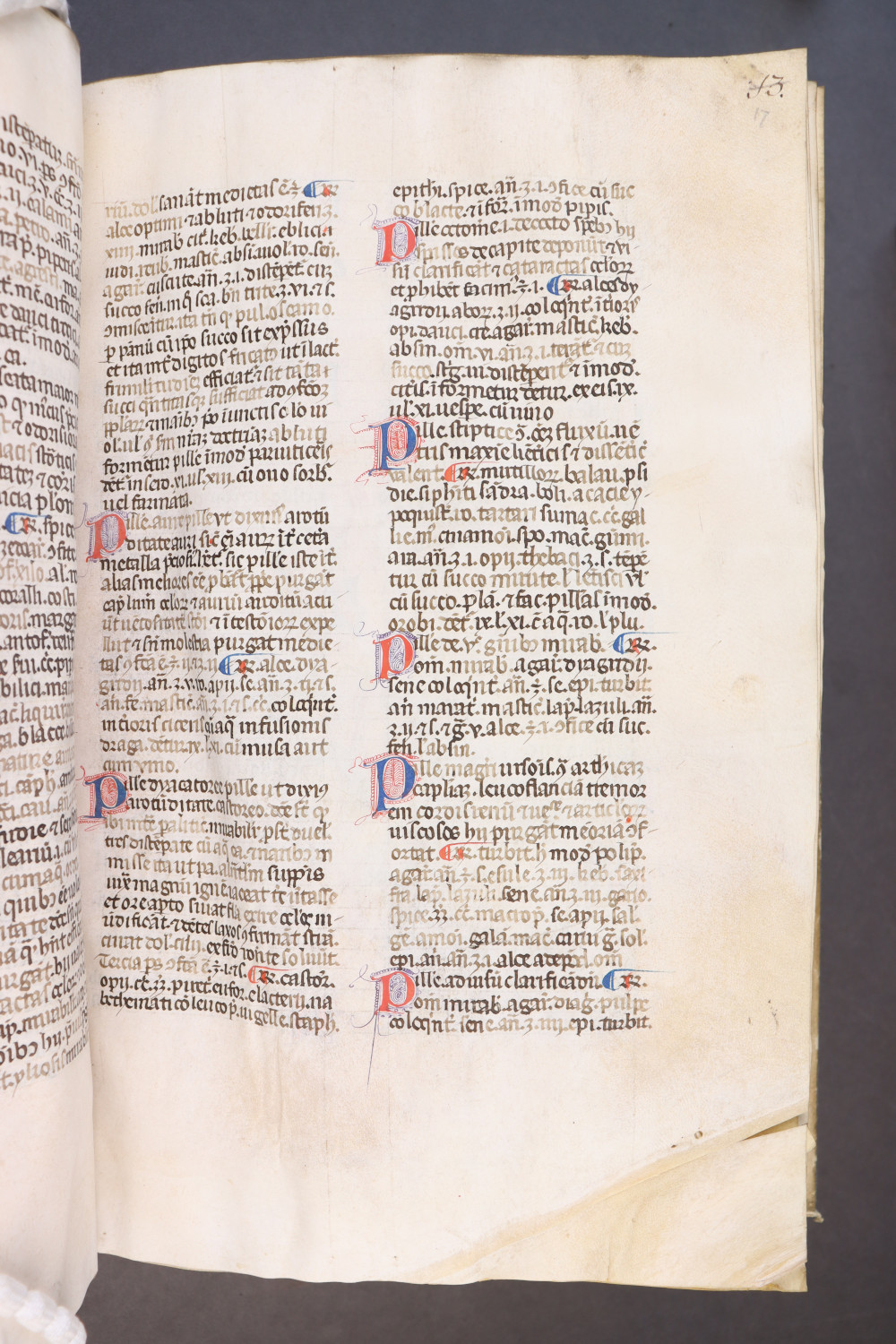 Folio 17 recto