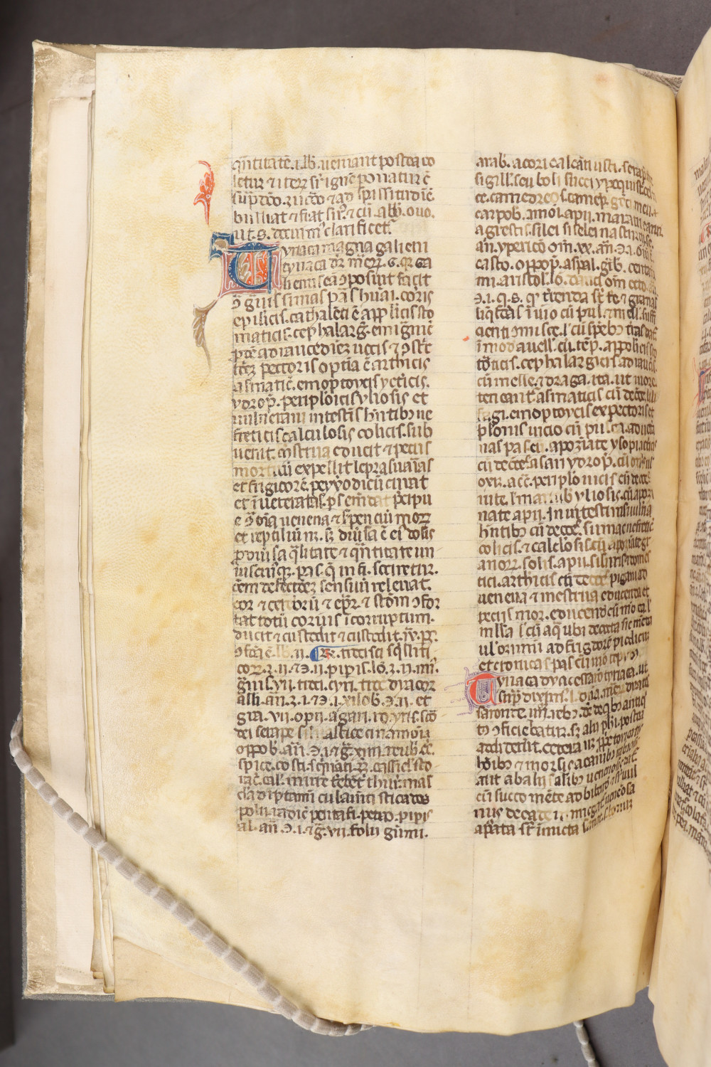 Folio 19 verso