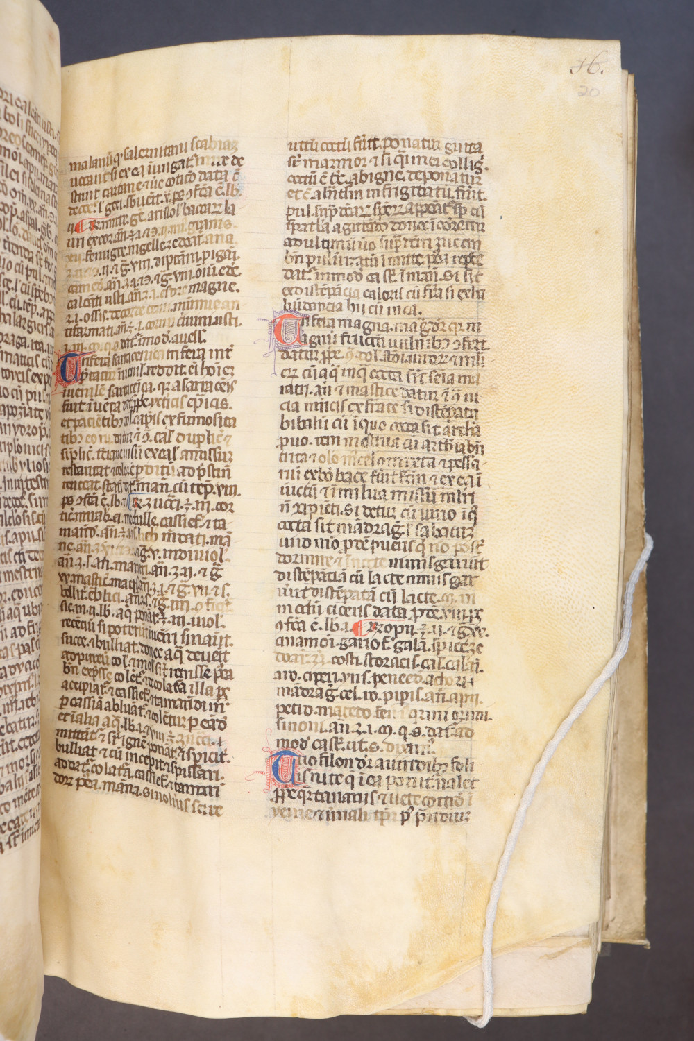 Folio 20 recto