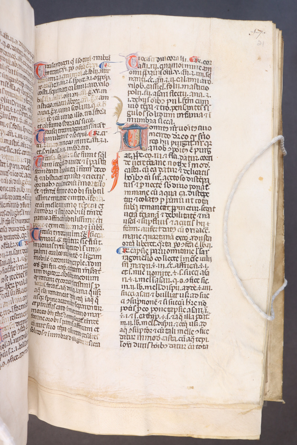 Folio 21 recto