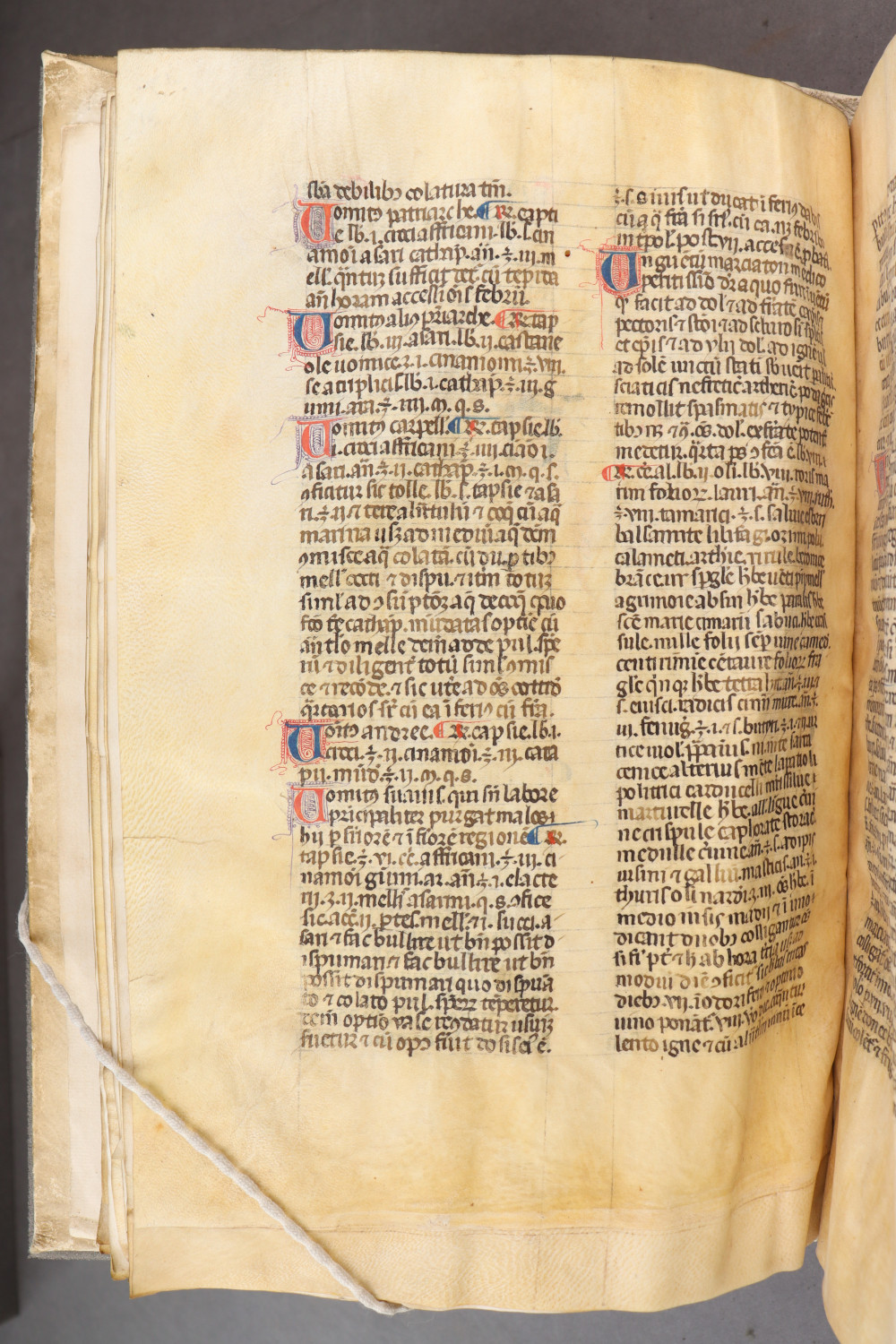 Folio 21 verso
