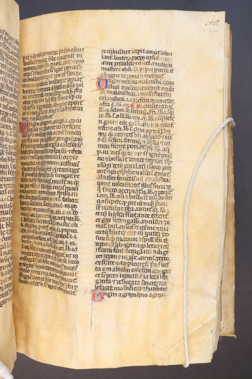 Folio 22 recto