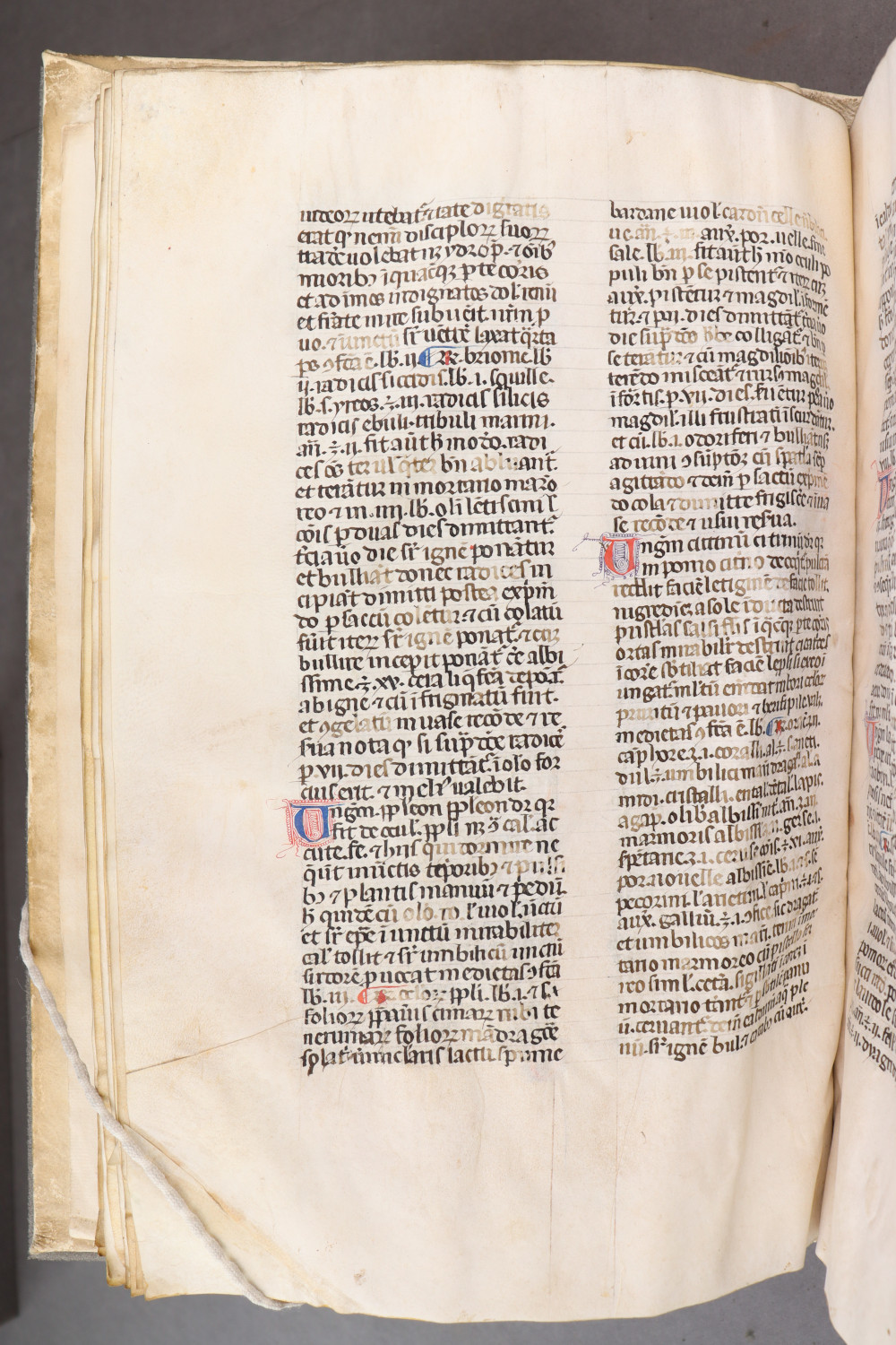 Folio 22 verso