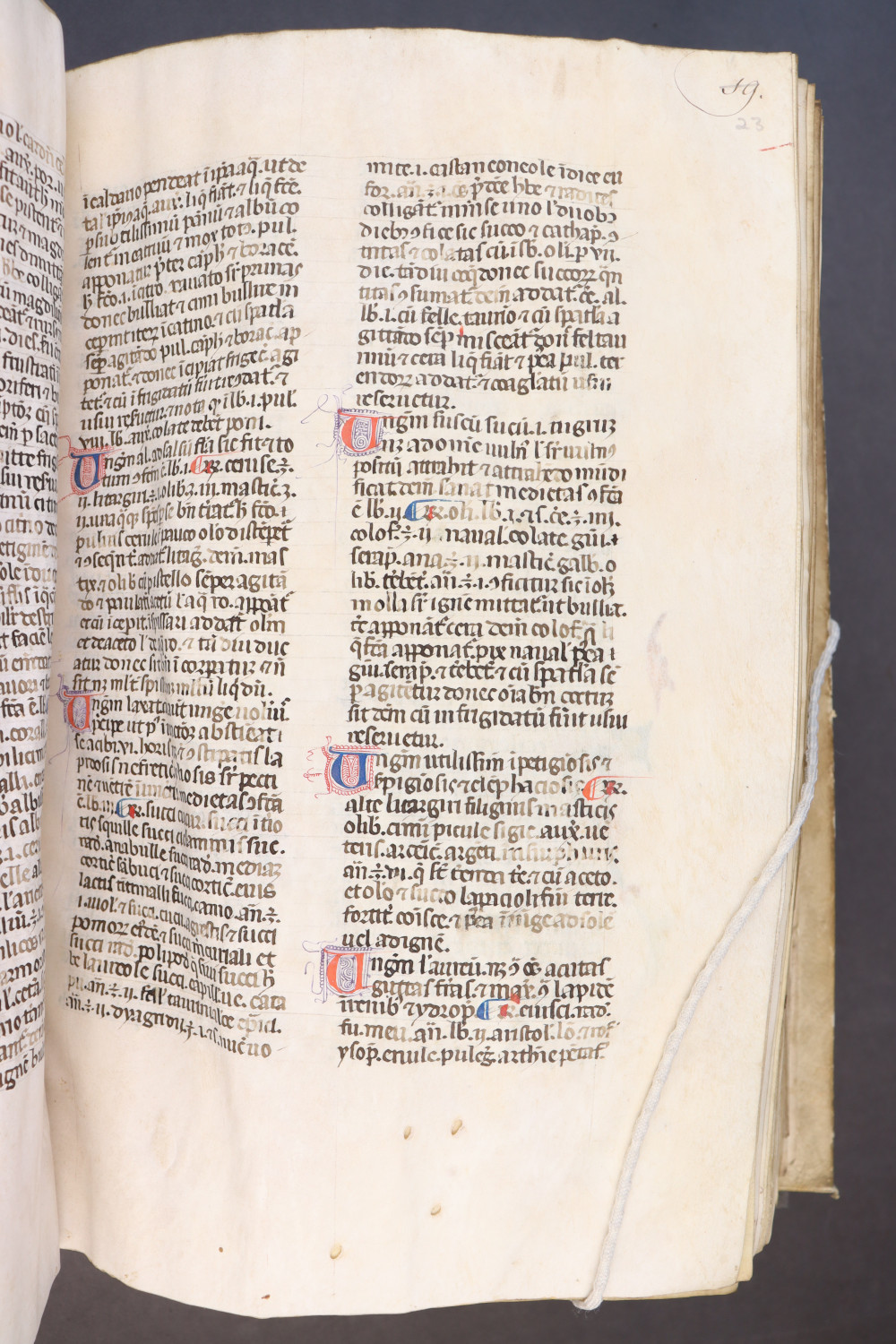 Folio 23 recto