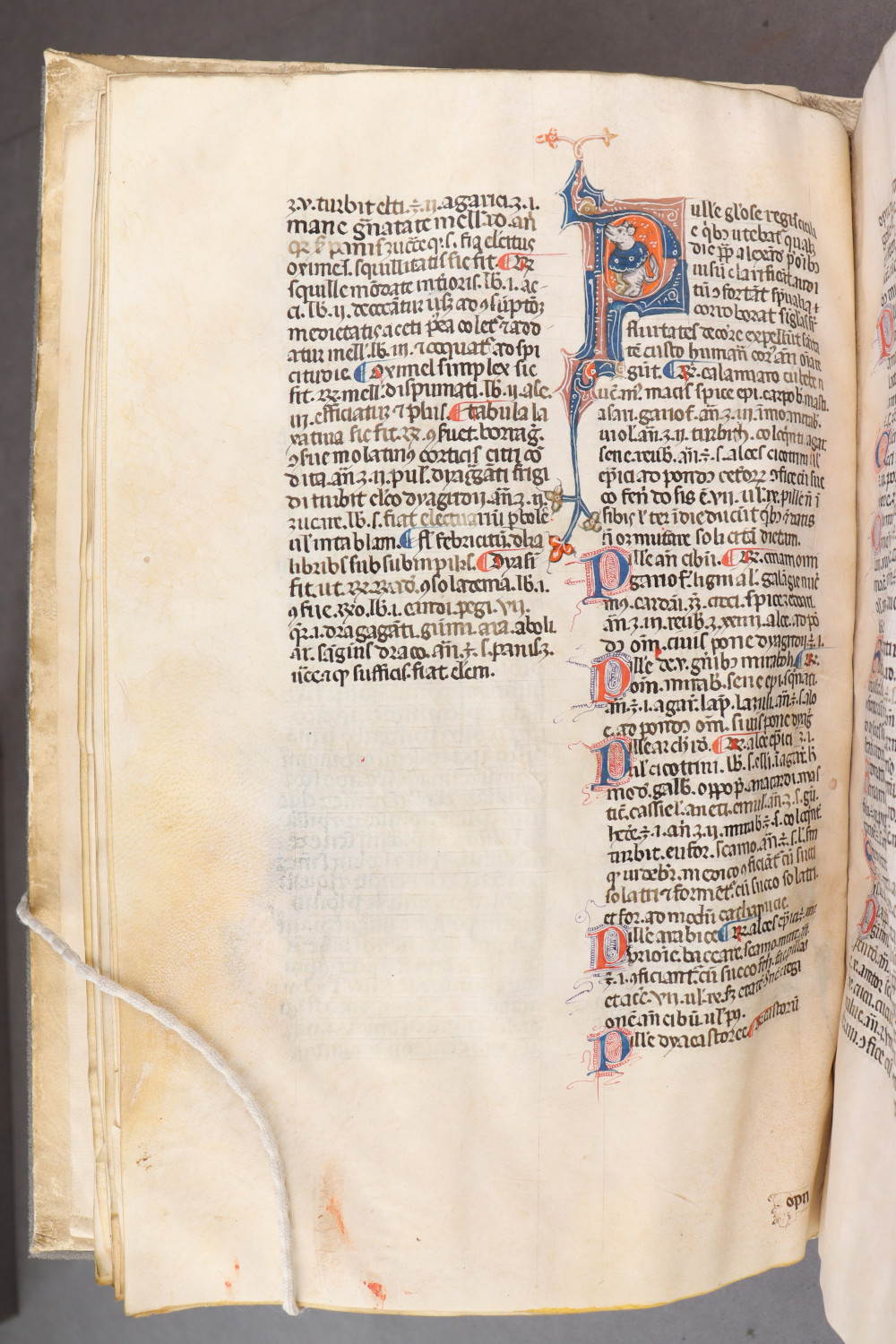 Folio 24 verso