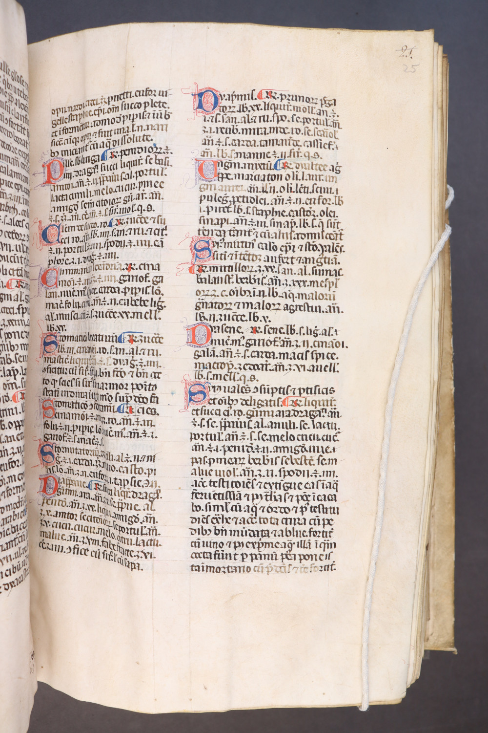 Folio 25 recto