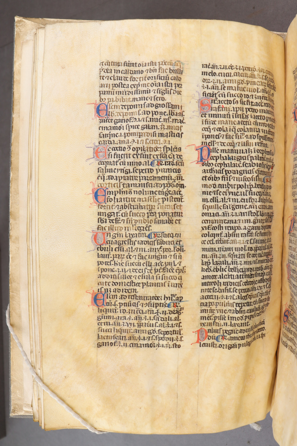 Folio 25 verso